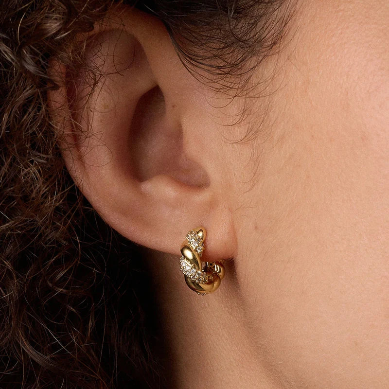 Twisted Hoop Earrings